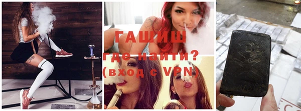 стафф Гусев