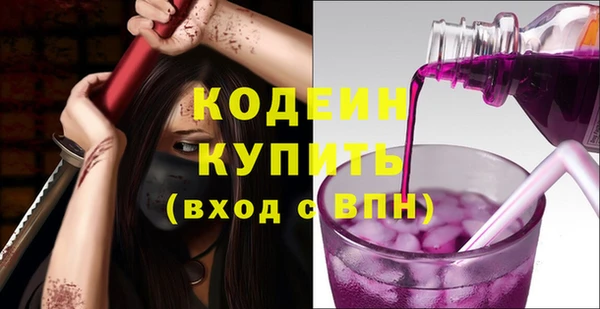 стафф Гусев