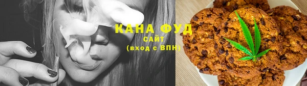 стафф Гусев