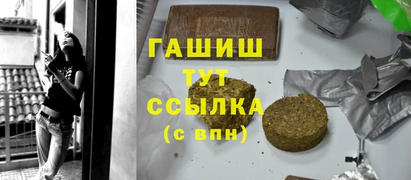 стафф Гусев