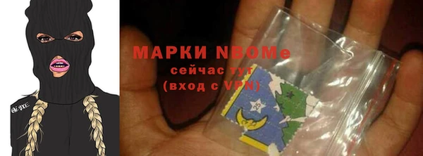стафф Гусев