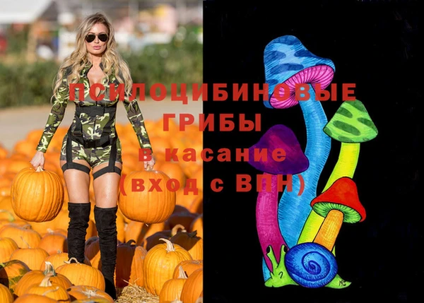 мдма Гусиноозёрск