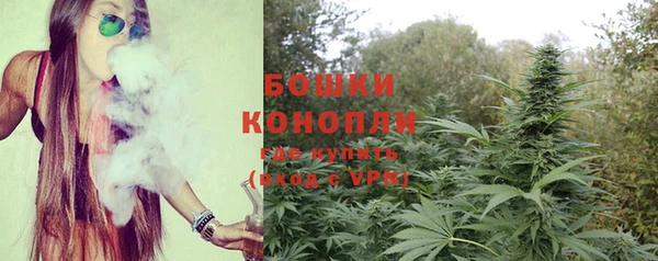 стафф Гусев