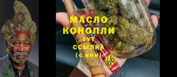 стафф Гусев