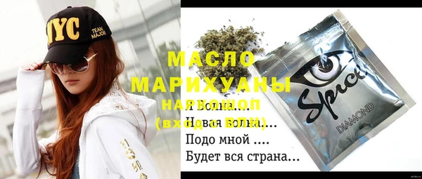 стафф Гусев